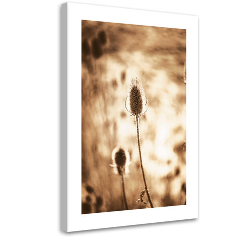 Tableau sur toile Plantes séchées 70x100 (1/5)