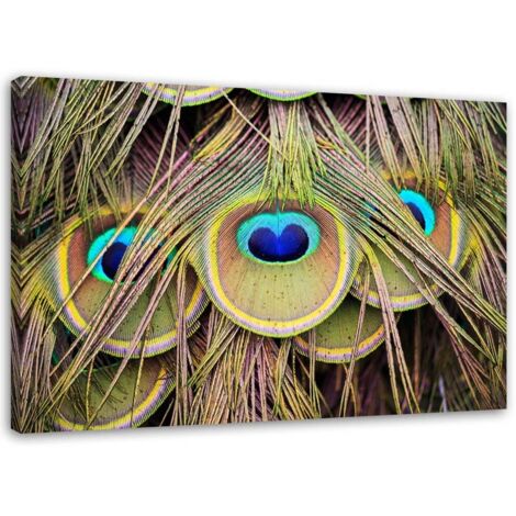 Tableau sur toile Plumes de paon multicolores 60x40 (1/5)