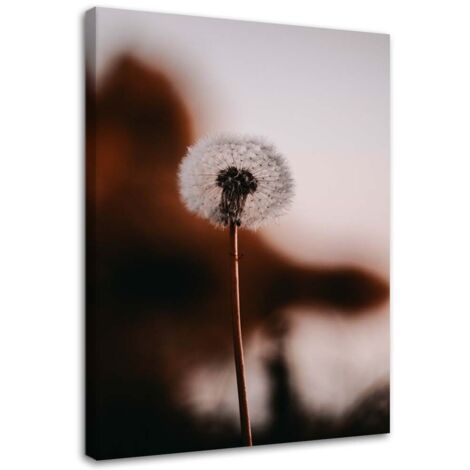 Tableau sur toile Plantes de pissenlit 40x60 (1/5)