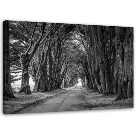 Tableau sur toile Arbres Noir Blanc Parc 60x40