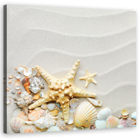 Tableau sur toile Coquillages plage beige 40x40 (1/5)