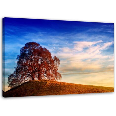 Tableau sur toile Arbre sur une colline Nature 100x70 (1/5)