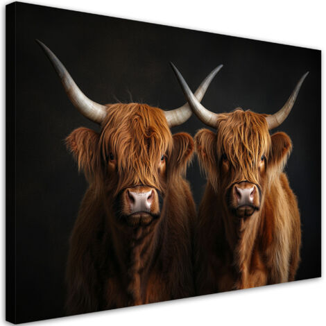 Tableau déco Vache écossaise de race Highland Animaux 90x60 (1/5)