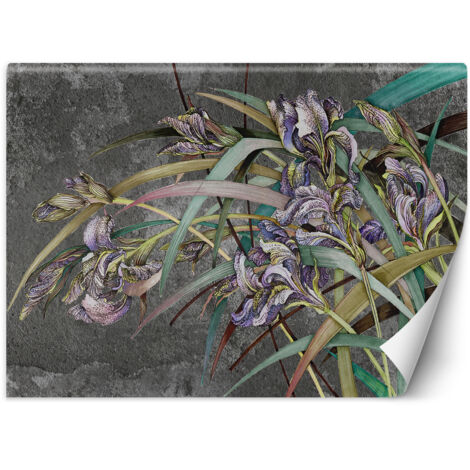 Fototapete Iris Blumen Lila Pflanzen 300x210 cm (1/5)