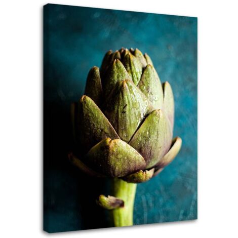 Tableau sur toile Artichaut Légumes Vert 40x60 (1/5)