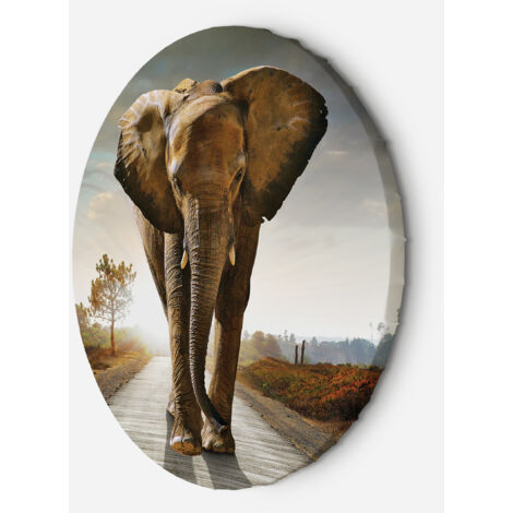 Tableau sur toile Image circulaire Éléphant sur la route 80x80 (1/5)