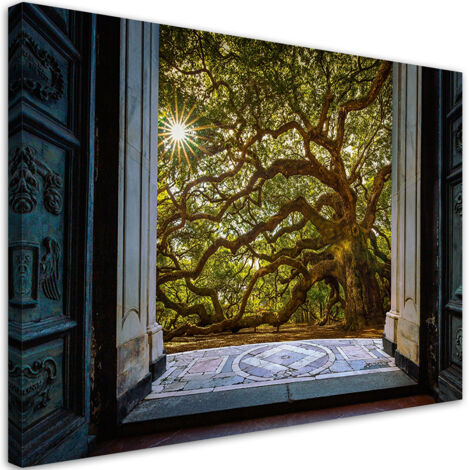 Tableau déco Vue d'un arbre Soleil Nature 60x40 (1/5)