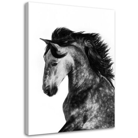 Tableau déco Cheval Animaux Galopant 40x60 (1/5)
