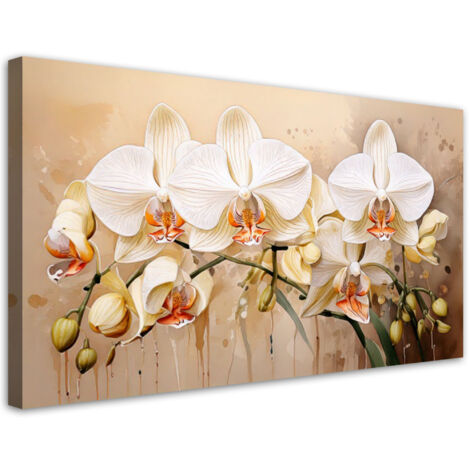 Tableau déco Orchidées Fleurs Botanique 100x50 (1/5)