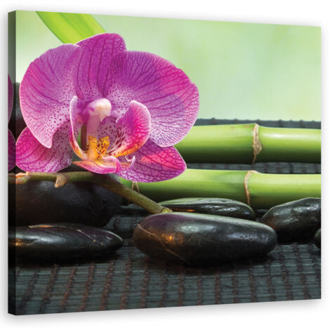 Cadre déco Orchidée sur des pierres noires 60x60 (1/5)