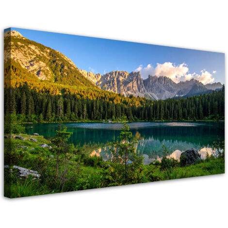 Tableau déco Vue lac montagnes forêt nature 100x50 (1/4)