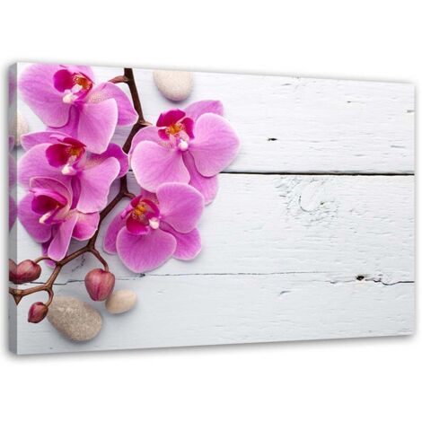 Tableau décoratif Fleur d'orchidée rose 100x70 (1/5)