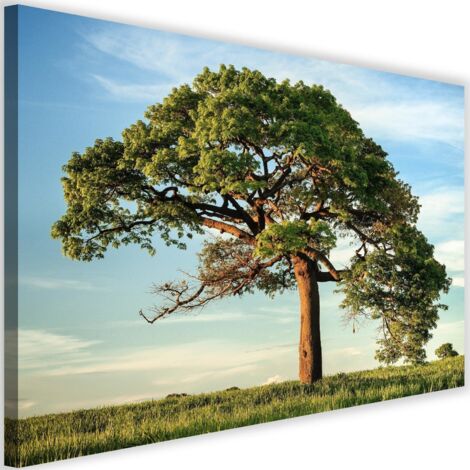 Tableau sur toile Arbre Paysage Nature 60x40 (1/5)