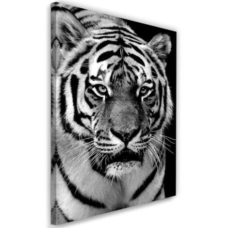 Tableau sur toile Tigre Afrique Noir et Blanc 40x60 (1/5)