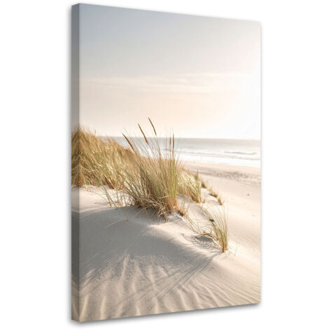 Tableau déco Plage mer dunes nature plantes 60x90 (1/4)