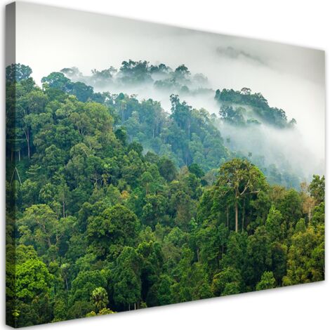Tableau déco Forêt dans le brouillard 60x40 (1/5)