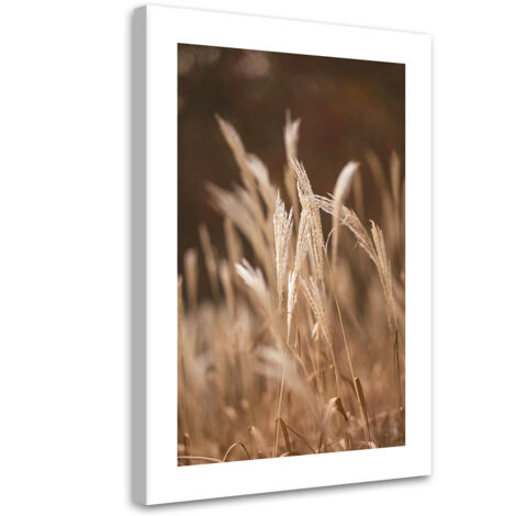 Tableau sur toile Herbe sèche dans la prairie 40x60 (1/5)