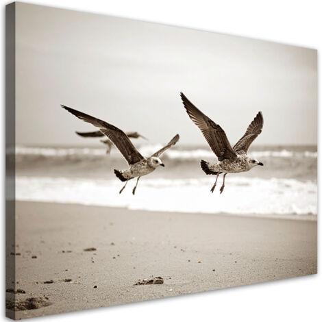 Tableau déco Mouettes oiseaux mer plage beige 60x40 (1/4)