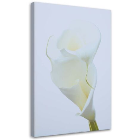 Tableau déco Fleurs de callas nature blanc 40x60 (1/5)