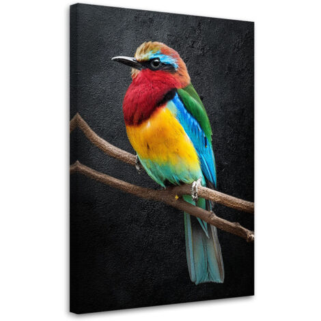 Tableau déco Animaux perroquets colorés 40x60 (1/5)