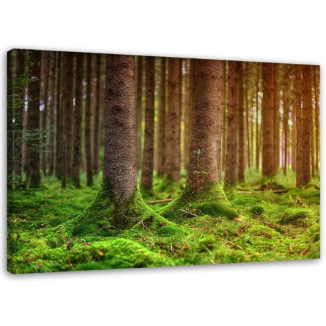 Tableau sur toile Arbres Nature Paysage 60x40 (1/5)