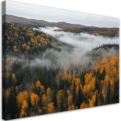 Tableau déco Forêt dans le brouillard nature paysage 100x70 (1/5)