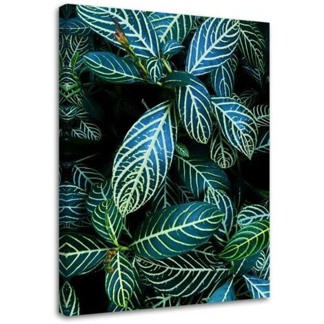 Tableau sur toile Feuille tropicale Nature 60x90 (1/5)