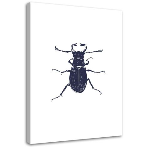 Tableau sur toile Insecte hanneton noir 40x60 (1/5)
