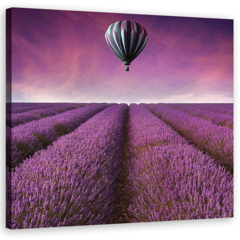 Tableau décoratif Champ de lavande Nature 30x30 (1/5)