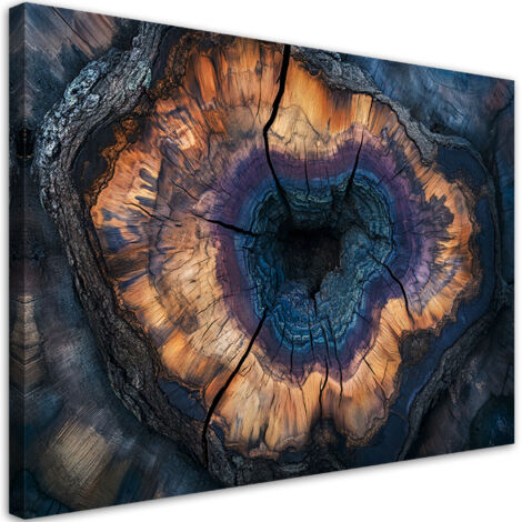 Tableau déco Anneaux de tronc d'arbre Abstraction 60x40 (1/5)
