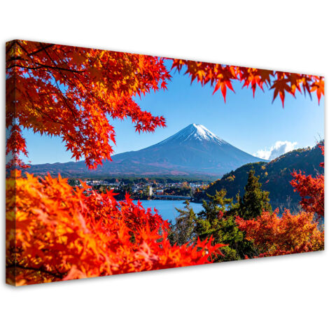 Tableau déco Mont Fuji japonais nature 100x50 (1/4)
