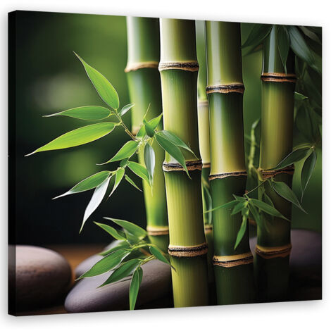 Tableau déco Bambou Zen oriental 30x30 (1/5)