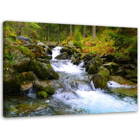 Tableau sur toile cascade forêt de montagne 60x40 (1/5)