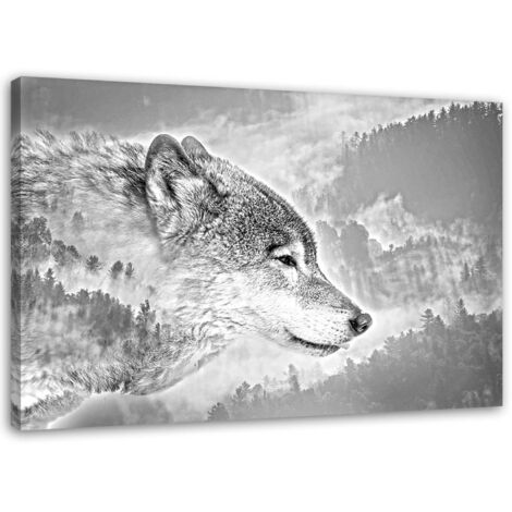 Tableau sur toile Loup Animal Brouillard Forêt Nature 90x60 (1/5)