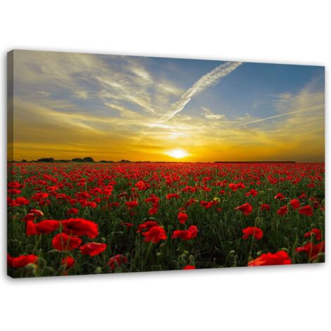 Tableau sur toile, Prairie de coquelicots rouges au soleil - 60x40 (1/5)