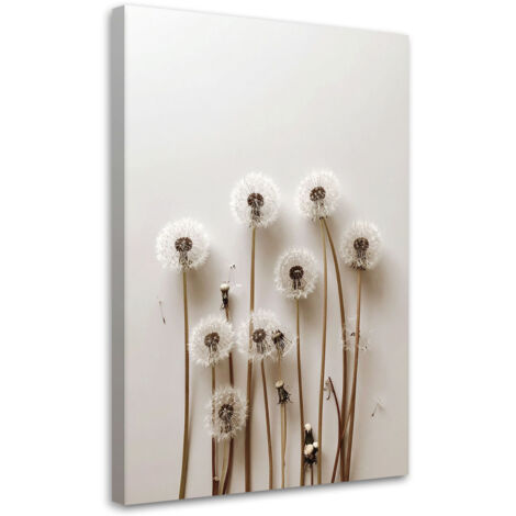 Tableau déco Pissenlits plantes nature bohème 40x60 (1/4)