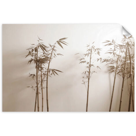 Poster autocollant Plantes d'herbe de la pampa en beige 120x80 (1/3)