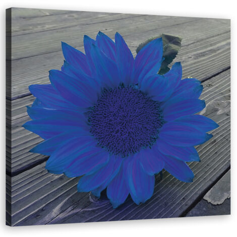 Tableau sur toile Tournesol bleu 60x60 (1/5)