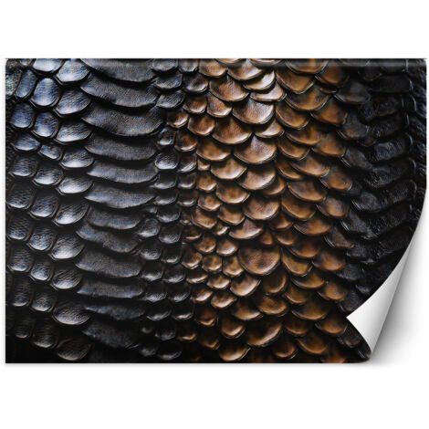 Papier peint Texture de peau de serpent 350x245 (1/5)