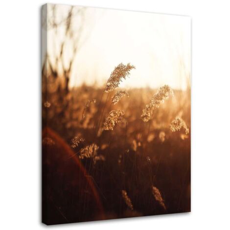 Tableau sur toile Prairie Soleil Nature Beige 60x90 (1/5)