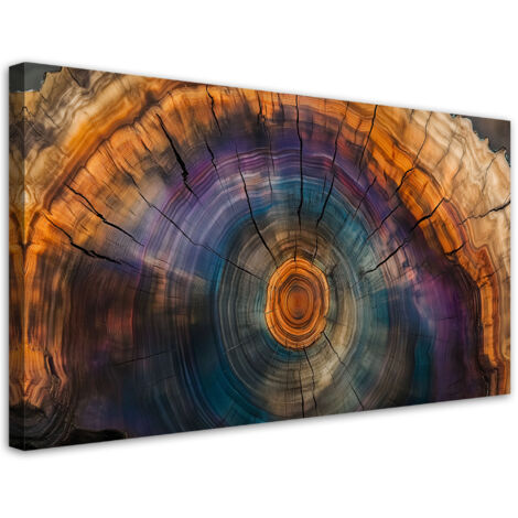 Tableau déco Cernes d'arbre colorées 100x50 (1/5)