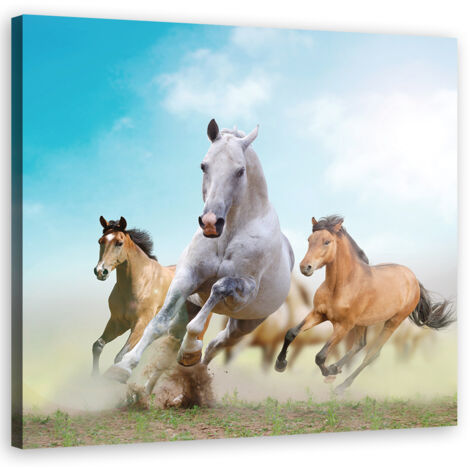 Tableau sur toile Chevaux galopant 50x50 (1/5)