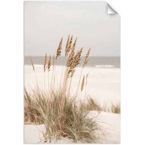 Poster autocollant Plage mer plantes nature beige 30x45 (1/3)