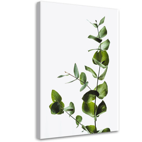 Tableau sur toile Branche verte nature 40x60 (1/5)