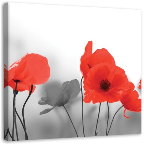 Tableau sur toile Coquelicots d'été rouges Nature Gris 40x40 (1/5)