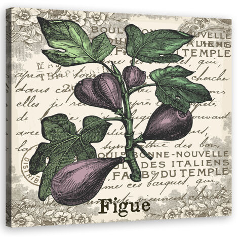 Tableau décoratif Figues vintage 30x30 (1/5)
