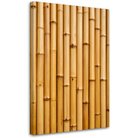 Tableau déco Bambou plante nature 40x60 (1/4)