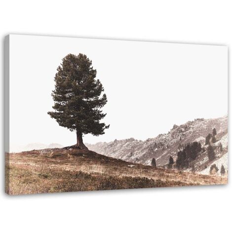 Tableau sur toile Arbre Montagne Nature 60x40 (1/5)