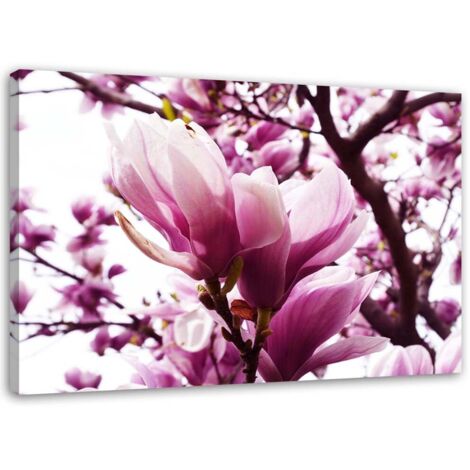 Tableau sur toile Magnolia rose 60x40 (1/5)
