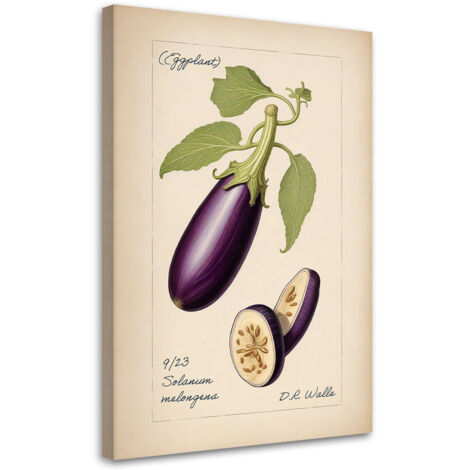 Tableau sur toile Tableau sur toile Légumes Vintage Aubergine 70x100 (1/5)